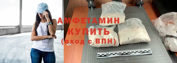 сатива Бронницы