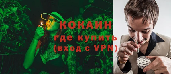 стаф Горняк