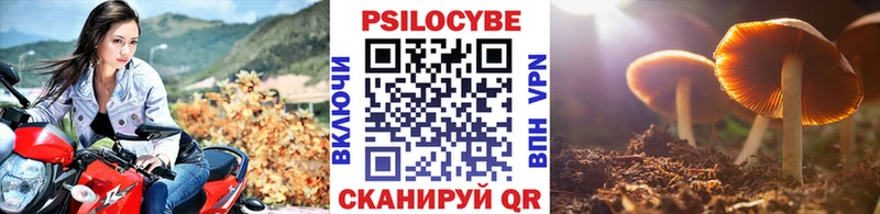 Галлюциногенные грибы MAGIC MUSHROOMS  Купить закладки  Комсомольск 